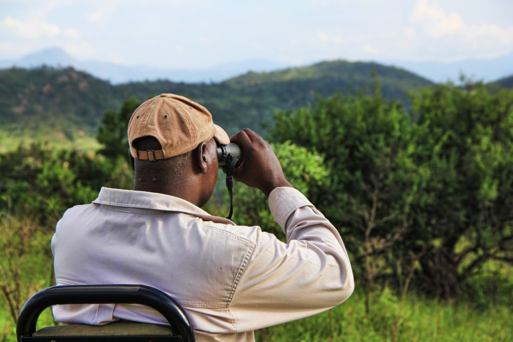 Homme utilisant des jumelles lors d'un safari en Afrique