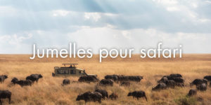 Jumelles pour safari